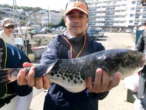 トラフグ釣り