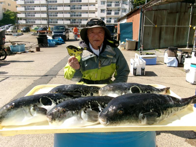 トラフグ釣り好調です！！1枚目
