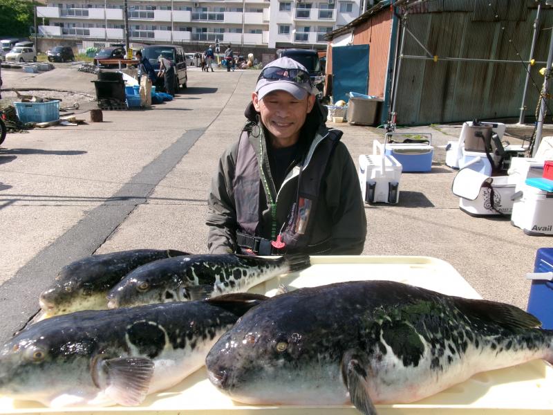 トラフグ釣り好調です！！2枚目