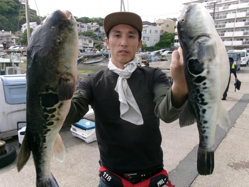 トラフグ釣り1枚目