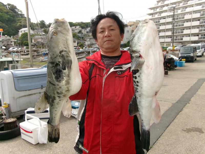 トラフグ釣り2枚目