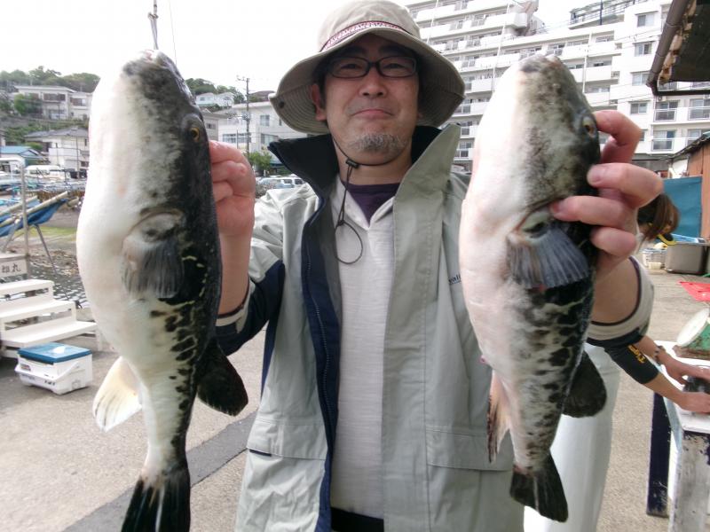 トラフグ釣り3枚目