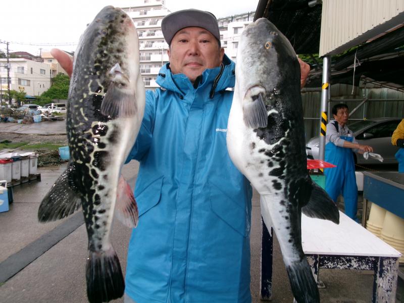 トラフグ釣り1枚目