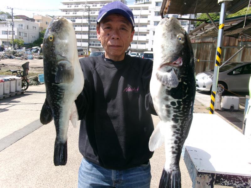 トラフグ釣り2枚目