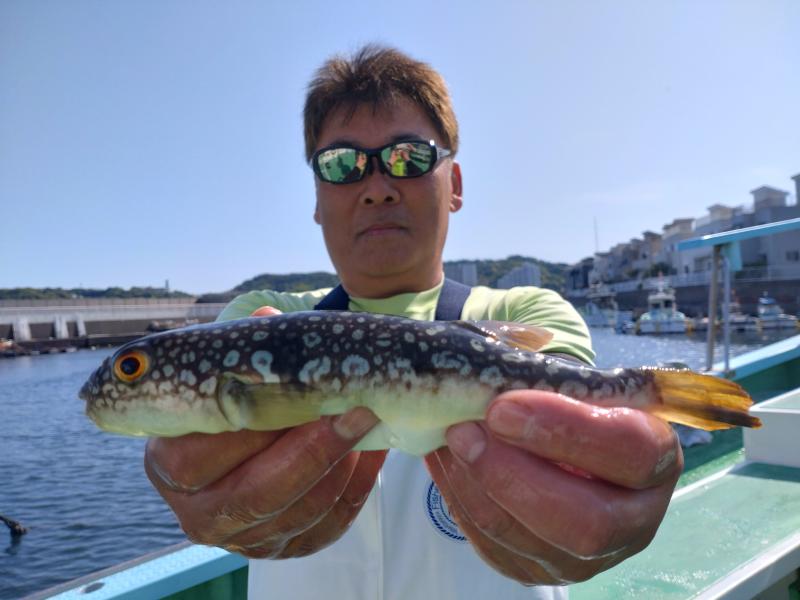ふぐ釣り1枚目