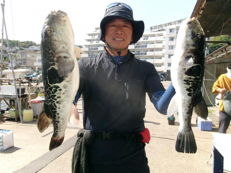 トラフグ釣り2枚目