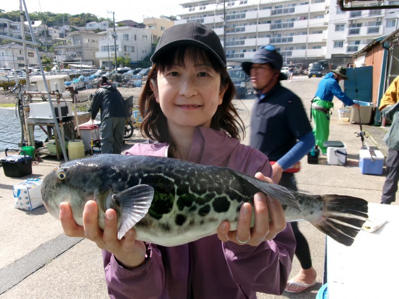 トラフグ釣り3枚目