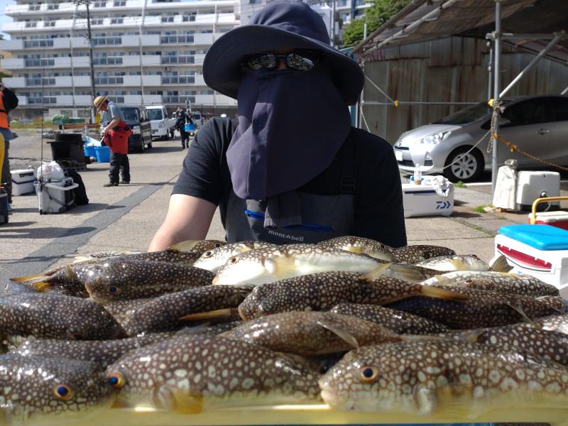 ふぐ釣り好調です！！1枚目