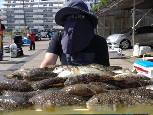 ふぐ釣り好調です！！