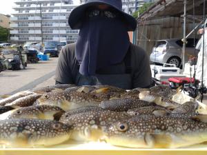 ふぐ釣り