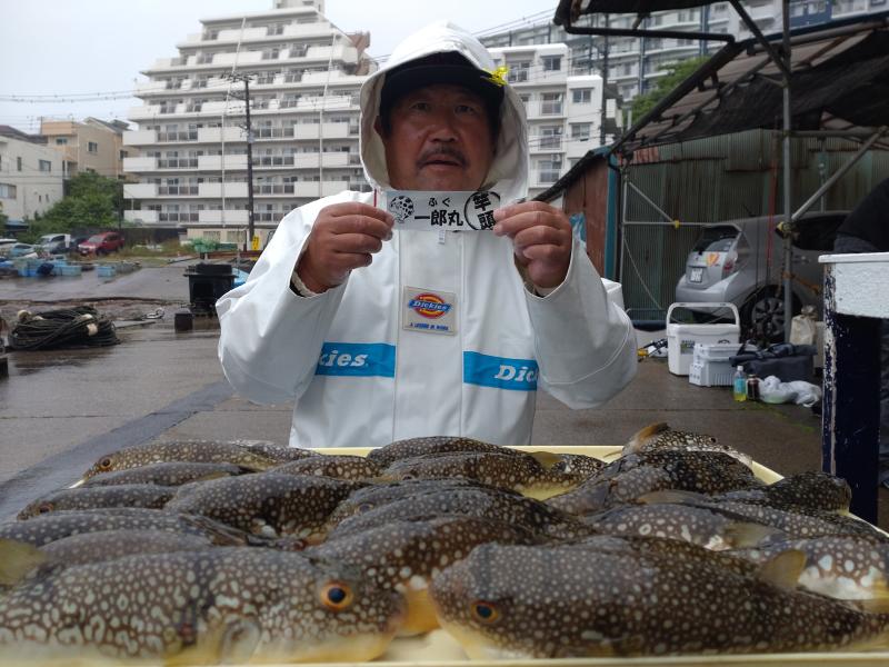 ふぐ釣り好調です！！1枚目