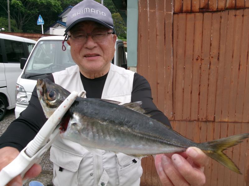 タチウオ・アジリレー3枚目