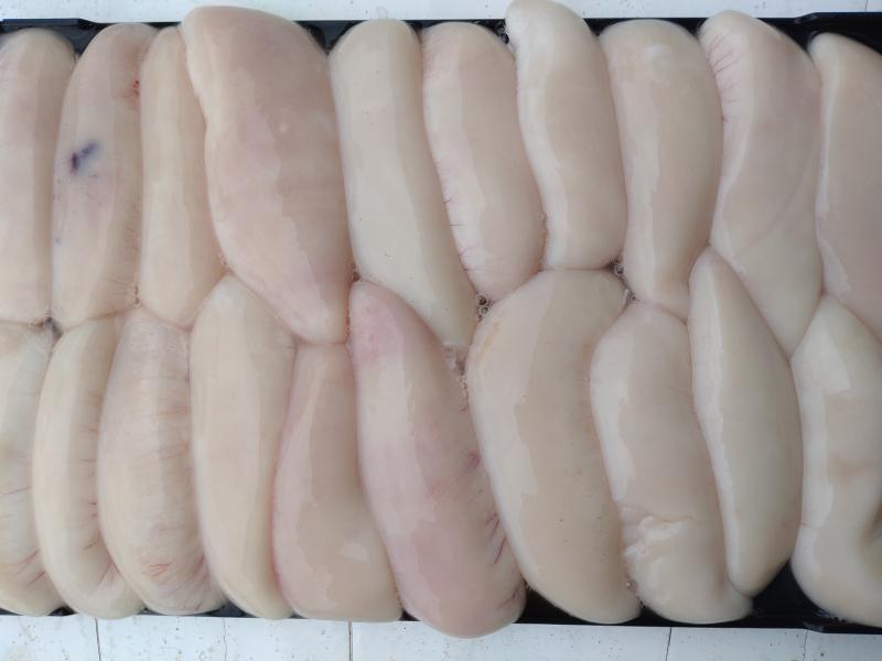 ふぐ釣り好調です！！2枚目