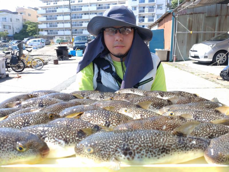 ふぐ釣り大漁です！！1枚目