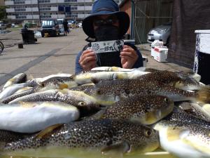 ふぐ釣り好調です！！