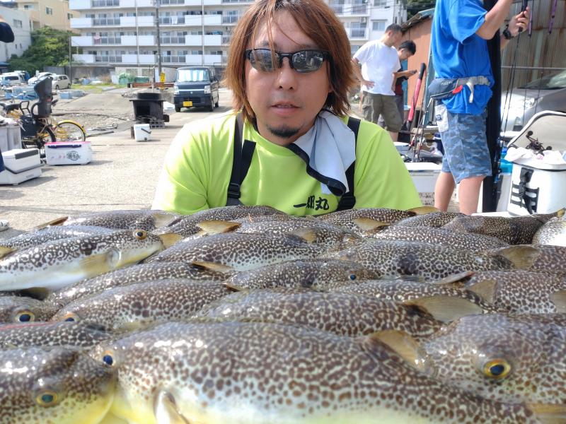 ふぐ釣り好調です！！1枚目