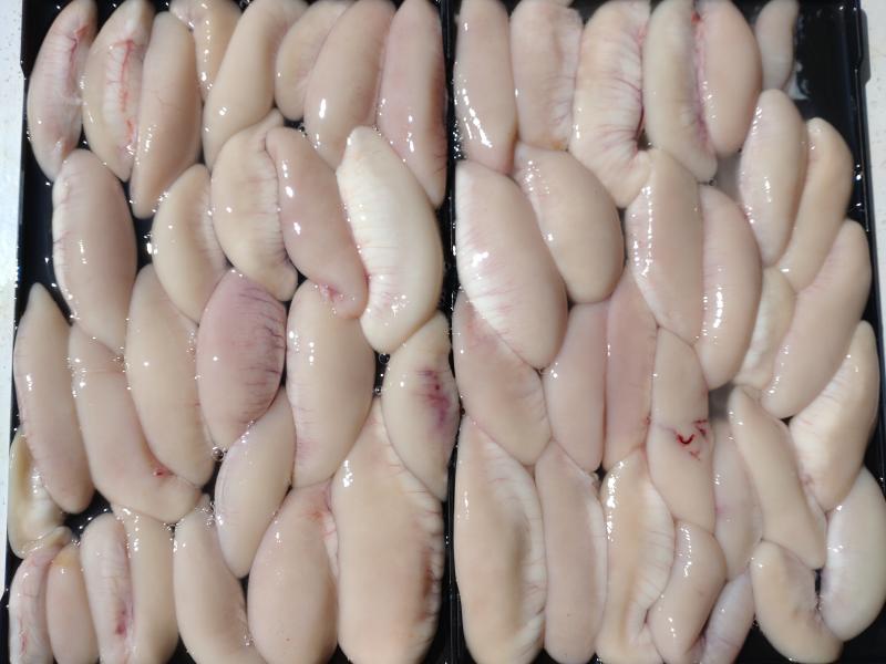 ふぐ釣り好調です！！2枚目