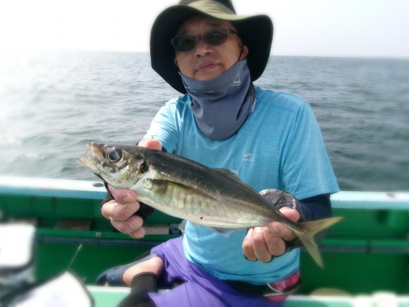 タチウオアジリレー4枚目