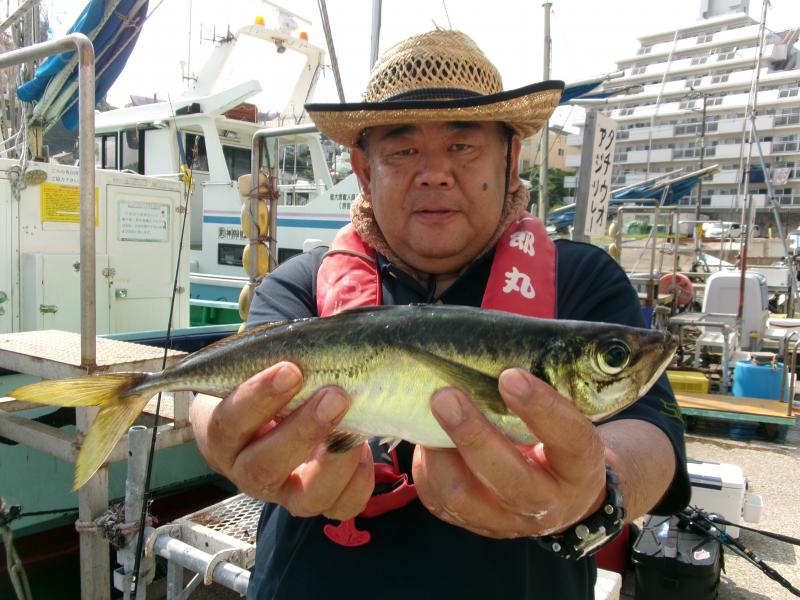 タチウオアジリレー4枚目