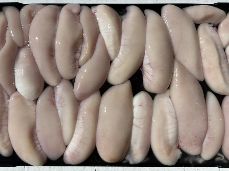 ふぐ釣り好調です！！2枚目