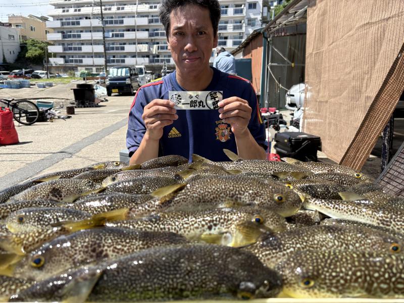 ふぐ釣り好調です！！1枚目