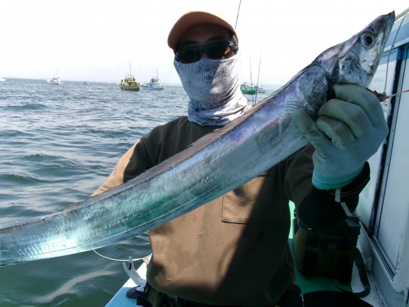 タチウオアジリレー2枚目