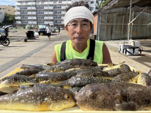 ふぐ釣り好調です！！