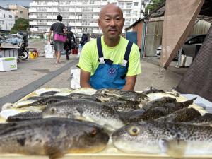 ふぐ釣り好調です！！
