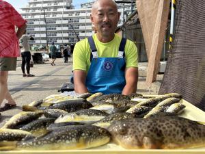 ふぐ釣り好調です！！