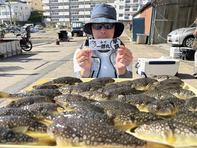 ふぐ釣り好調です！！1枚目