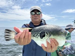 ふぐ釣り