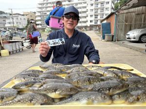 ふぐ釣り好調です！！