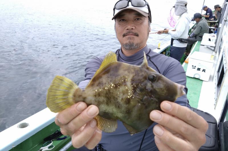 カワハギ釣り2枚目