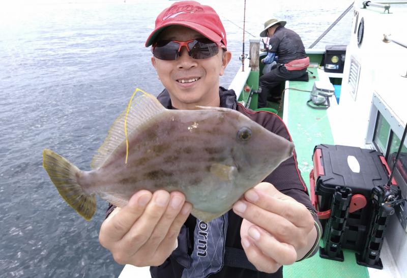 カワハギ釣り4枚目