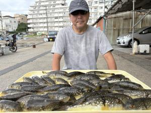 ふぐ釣り好調です！！