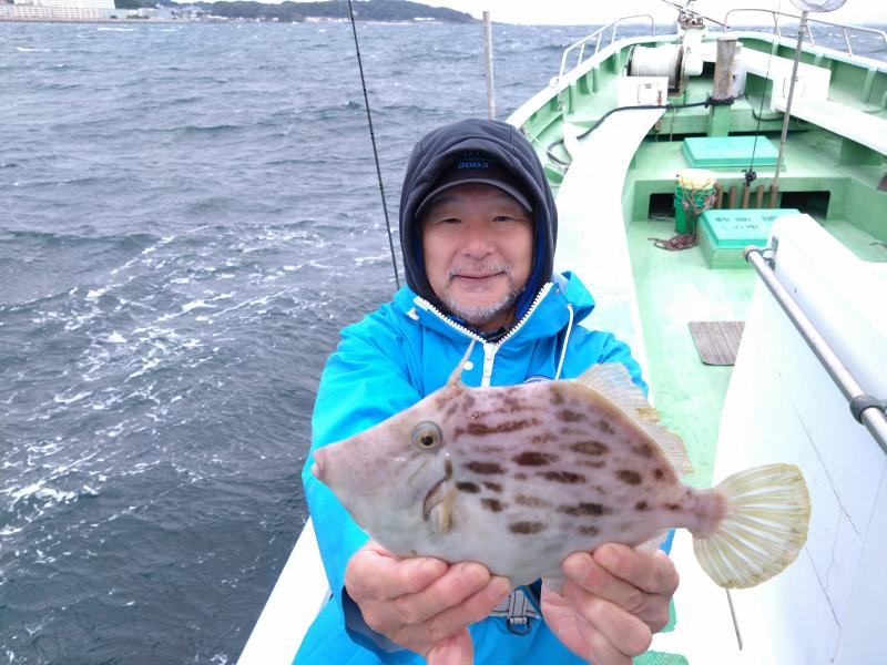 カワハギ釣り4枚目