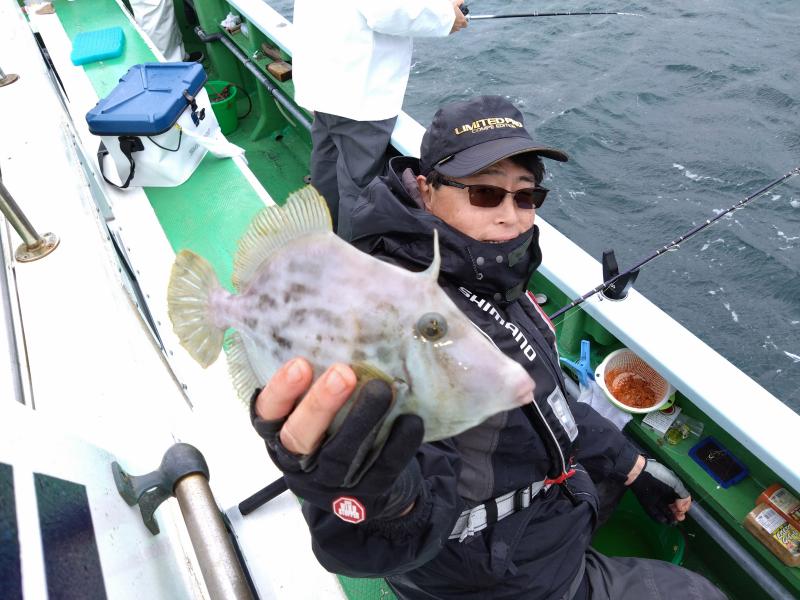 カワハギ釣り5枚目