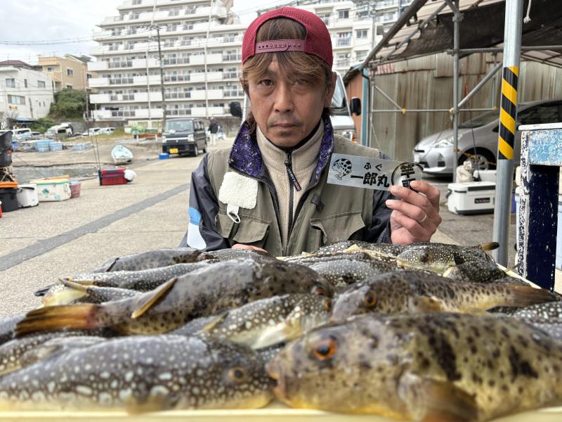 ふぐ釣り好調です！！1枚目