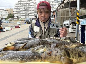 ふぐ釣り好調です！！