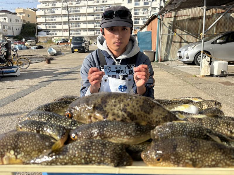 ふぐ釣り好調です！！1枚目