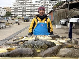 ふぐ釣り好調です！！