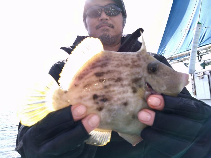 カワハギ釣り3枚目