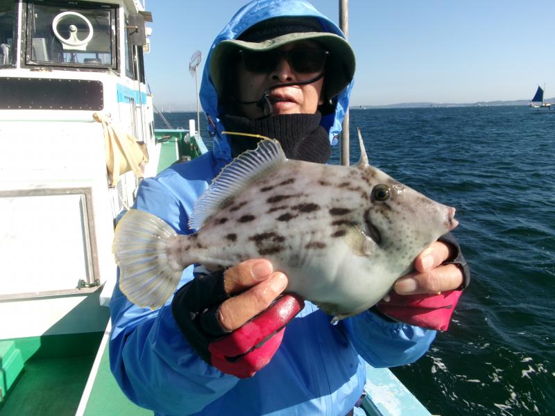 カワハギ釣り3枚目