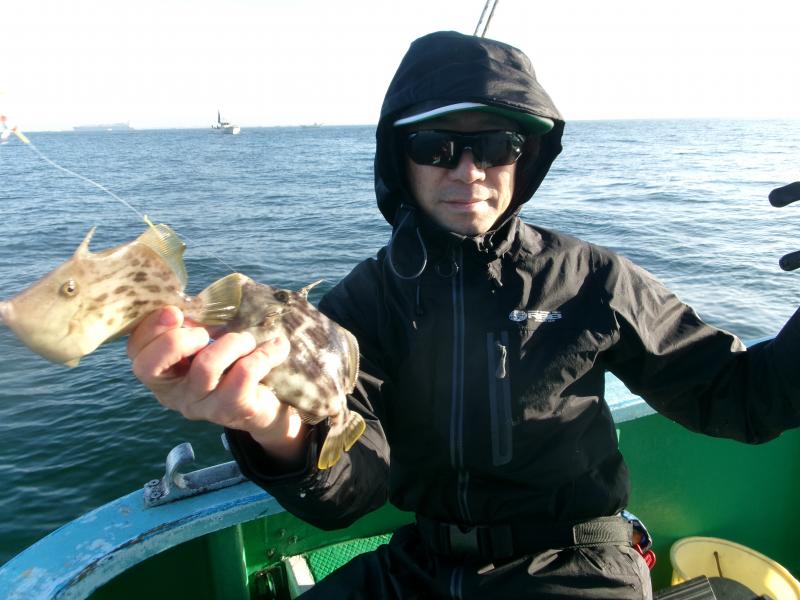 カワハギ釣り4枚目