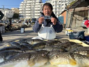 ふぐ釣り好調です！！