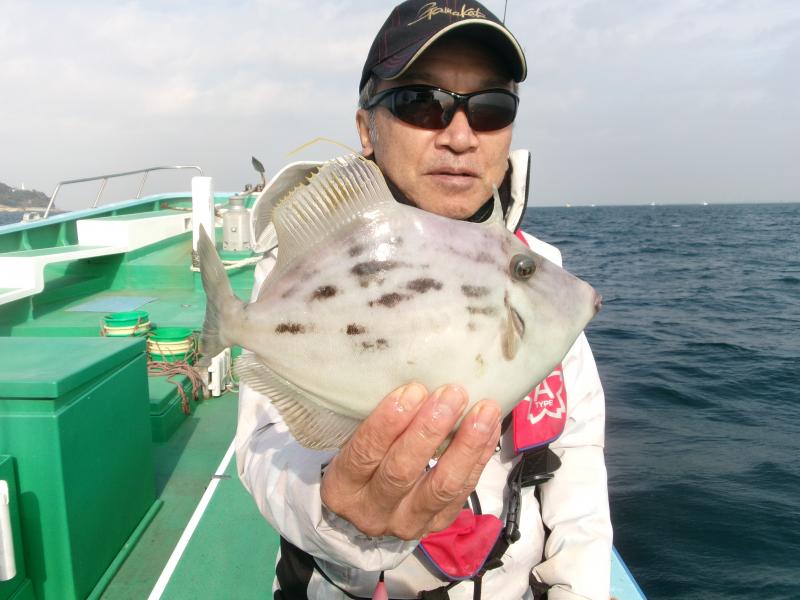 カワハギ釣り2枚目