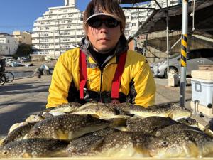 ふぐ釣り好調です！！