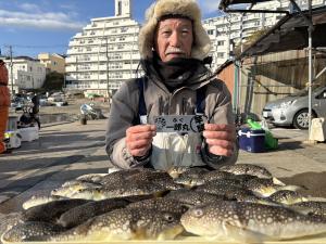 ふぐ釣り好調です！！