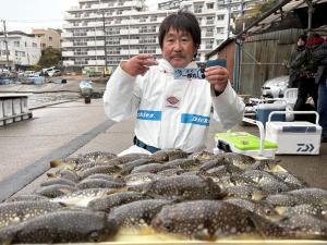 ふぐ釣り好調です！！