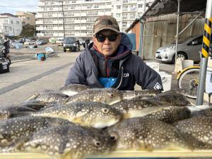 ふぐ釣り好調です！！